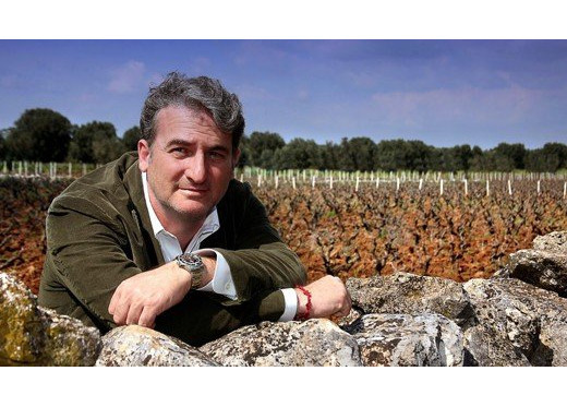 Gianfranco Fino, winemaker from Puglia